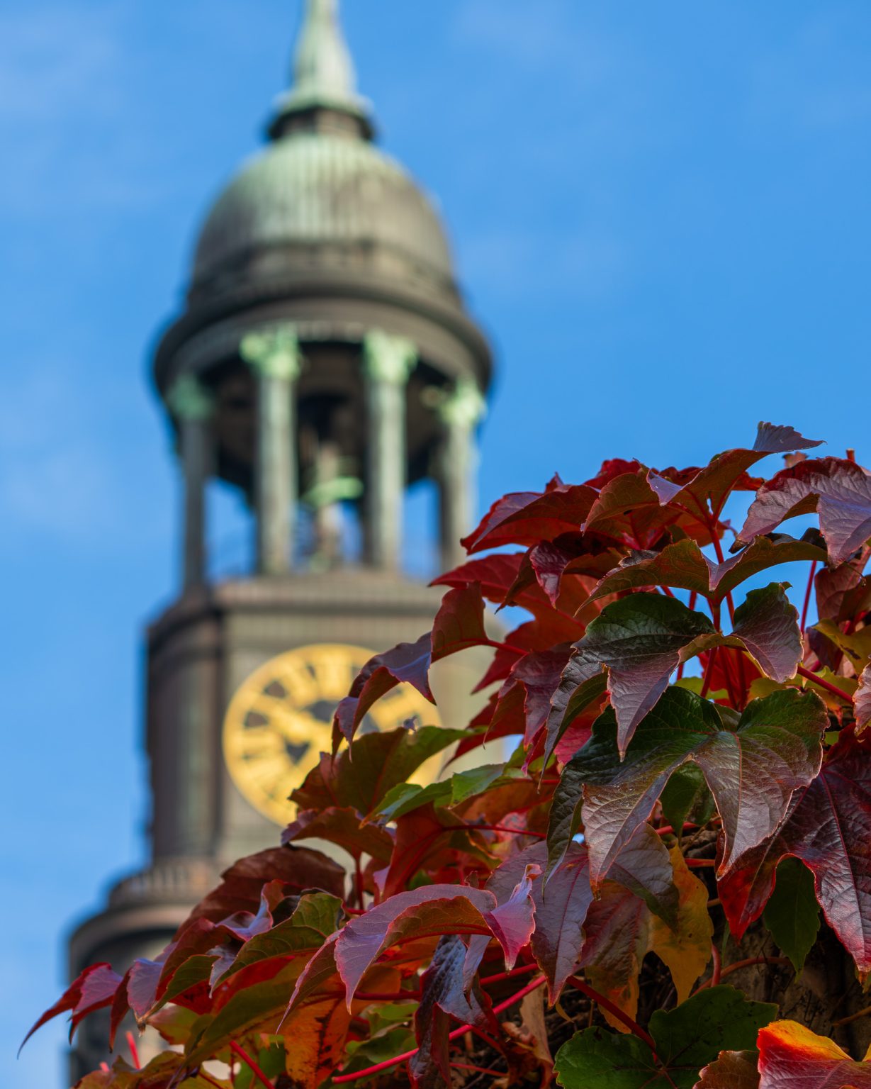 Herbstlaub vor dem Michelturm